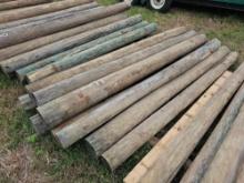 2161 - 10 - TREATED FENCE POST