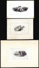 Lot of (3) 1800's Vignette from Original Proof Plates