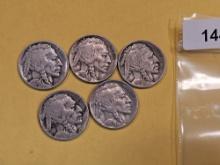 Five better date and Grade Buffalo Nickels