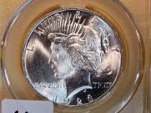 CAC 1923 Peace Dollar in Mint State 64