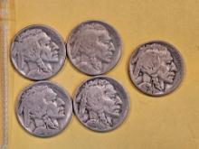 Five Better date Buffalo Nickels in Good to Very Good