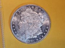 Brilliant Uncirculated plus 1881-O Morgan Dollar