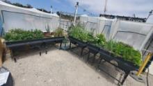 4 vegepod stands/hood covers with various flowers/plants inside