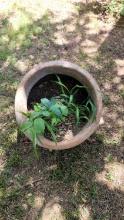 Outdoor Flower Pot