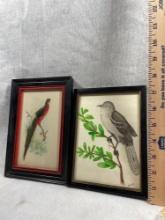 Vintage Framed Bird Decor