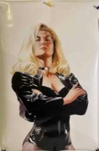 Alex Ross Black Canary Poster Sealed new
