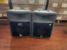 Lot of 2 Peavey Speakers