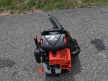 Echo PB9010 Backpack Blower 1 year old.