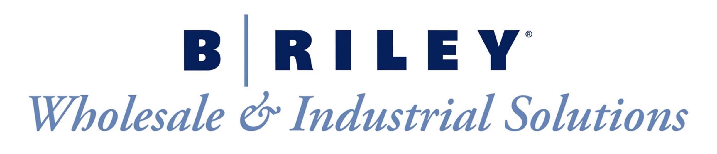 B. Riley Wholesale & Industrial Solutions, LLC