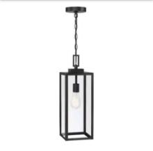 21.5 in. 1-Light Matte Black Outdoor Hanging Lantern with Clear Glass