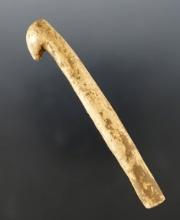 Rare! 3 9/16" Bone Atlatl Hook found in Indiana.