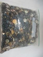 Buttons in Gallon Storage Bag