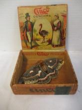 Taxidermy Cecropia Silk Moth in Old Cinco Conshas Cigar Box
