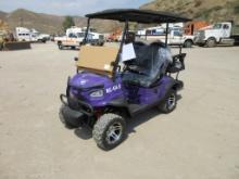 2024 RC Car Industry RC-G4.0 Golf Shuttle Cart,