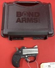Bond Arms Stinger .380 Pistol