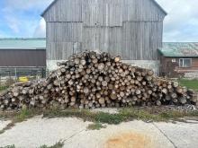 25 Cedar Posts - 5"- 7" Tops & 8' Long