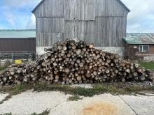 25 Cedar Posts - 4"- 5" Tops & 8' Long