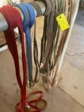 Leads, nylon, various lengths. 5 pieces