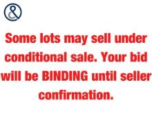 Some items in this auction may be sold on a conditional sale. Your high bid