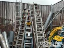 Large Quantity of Ladders