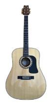 Washburn D 120 Dreadnought Acoustic Guitar