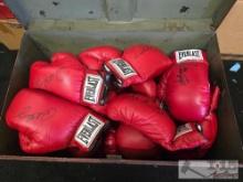(25) Autographed Everlast Boxing Gloves