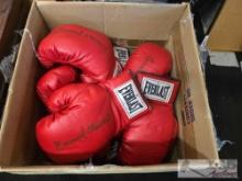 (14) Autographed Emanuel Steward Everlast Boxing Gloves