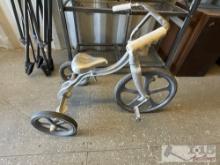 Metal Tricycle