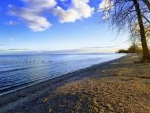 Monroe County, Michigan: Unlock the Wonders of Great Lake Erie!