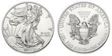 2013 American Silver Eagle.999 Fine Silver Dollar Coin