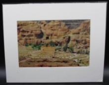 Richard Silver Petra Ruins Jordan Travel Ruins Certified Photograph YellowKorner